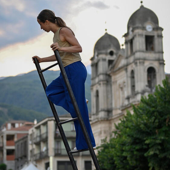 Do Birds Dream of Flying__by_Fabla Collective_(c)_Schaina_Fischera